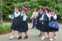 43811216_Unknown