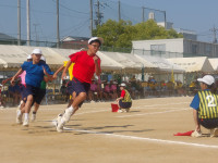 IMGP0651