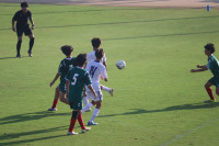 IMG_9619