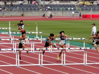 IMGP0007_2