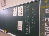 IMGP0013
