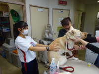 ★中央動物病院JPG (5)